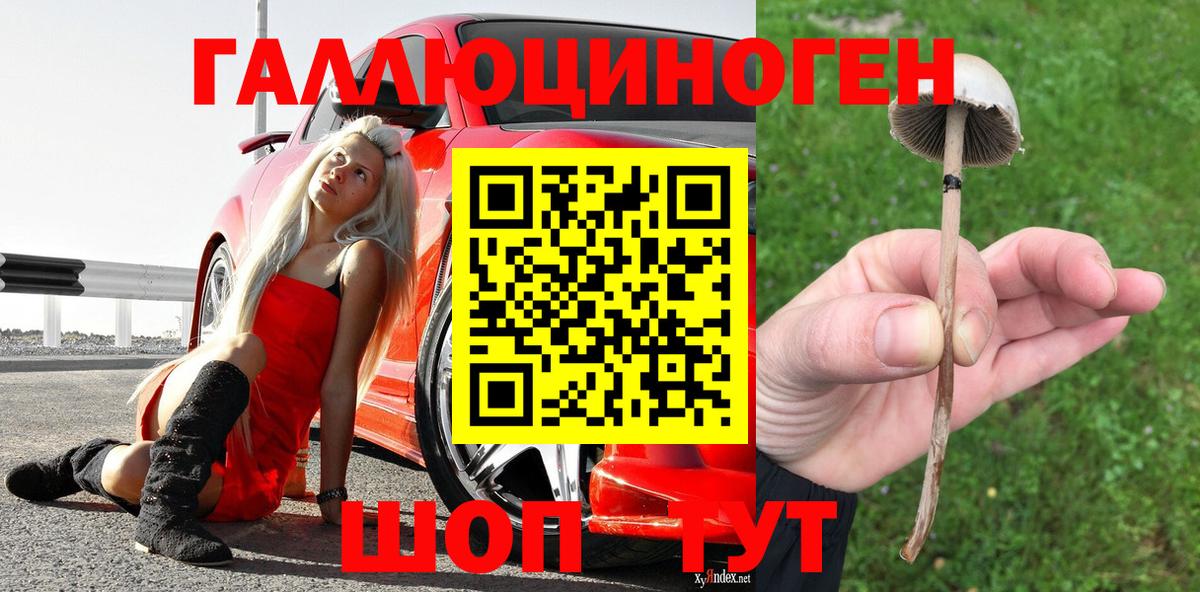 Ржев  сколько стоит  Вход с VPN  Псилоцибиновые грибы GOLDEN TEACHER 